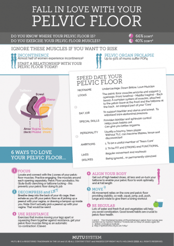 A Pelvic Floor Infographic For Moms