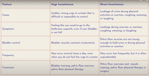 Is it Stress Incontinence or Urge Incontinence? Postpartum Bladder ...